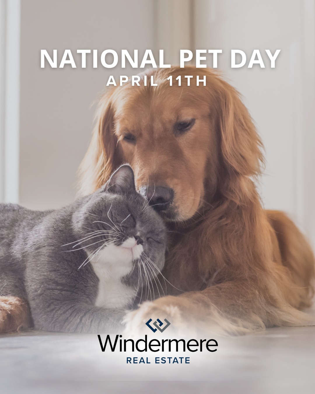Home isn’t just about square footage—it’s about who’s waiting at the door 🐾💛 This National Pet Day, we’re celebrating the real MVPs of every home: the furry (or feathered!) family members who turn houses into forever homes. 🏡 

#NationalPetDay #HomeIsWhereThePetsAre #WindermereSignatureProperties #WindermereCameronPark #WindermerePlacerville